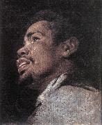 CRAYER, Gaspard de Head Study of a Young Moor dhyj oil on canvas